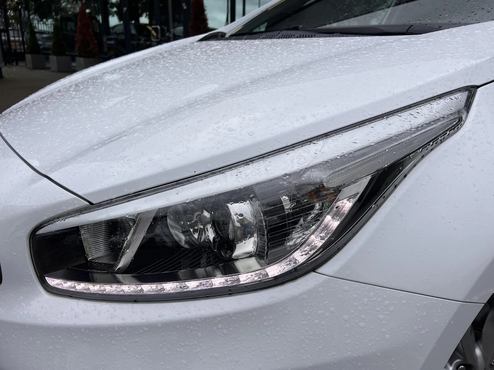 Hoofdafbeelding Kia cee'd