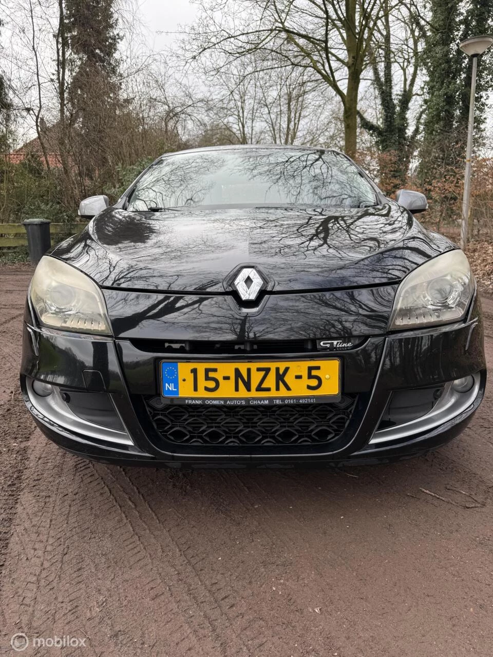 Hoofdafbeelding Renault Mégane