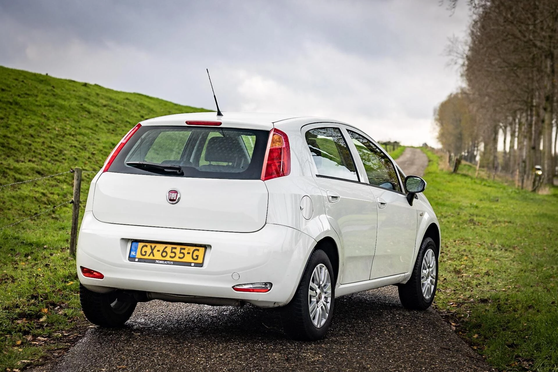 Hoofdafbeelding Fiat Punto