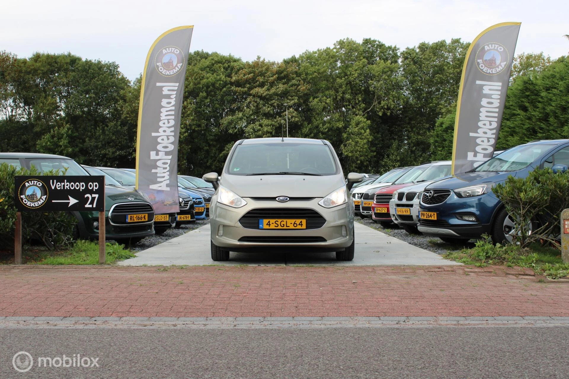 Hoofdafbeelding Ford B-MAX