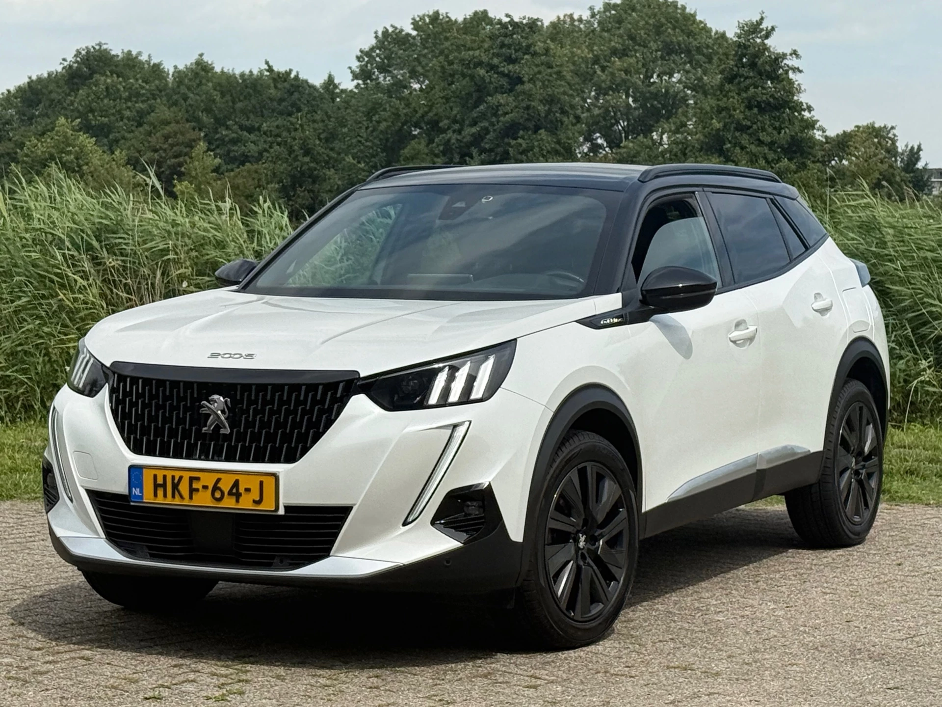 Hoofdafbeelding Peugeot 2008