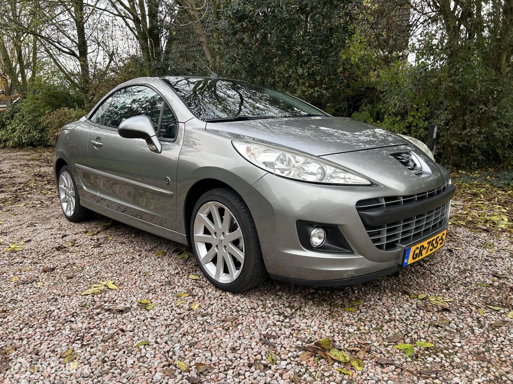 Hoofdafbeelding Peugeot 207