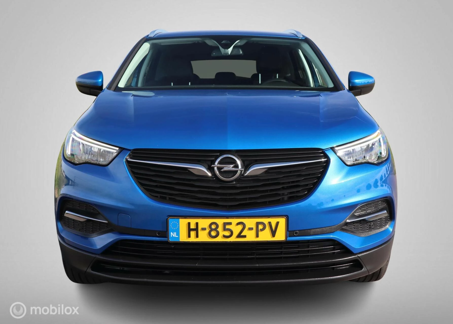 Hoofdafbeelding Opel Grandland X