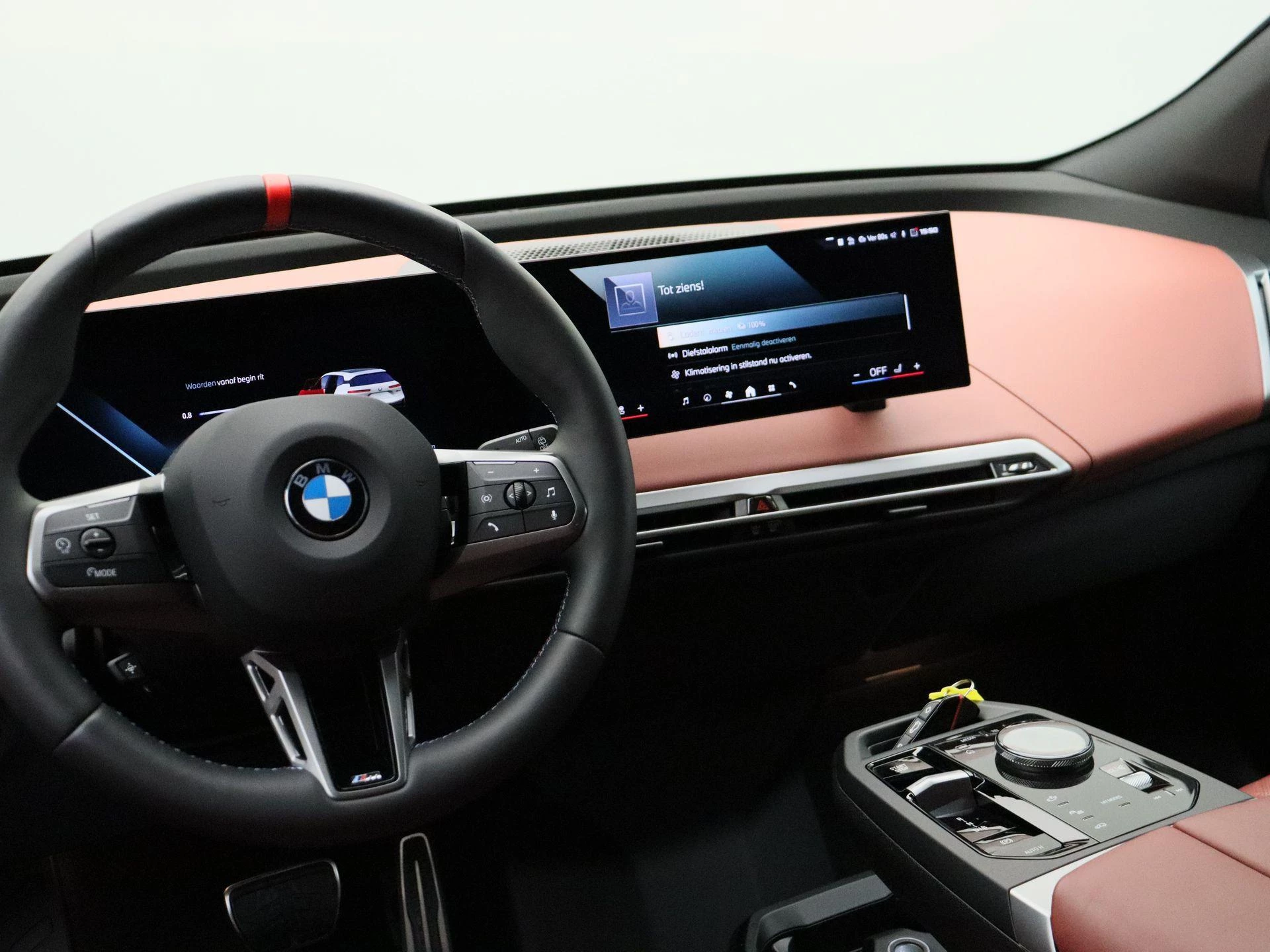 Hoofdafbeelding BMW iX