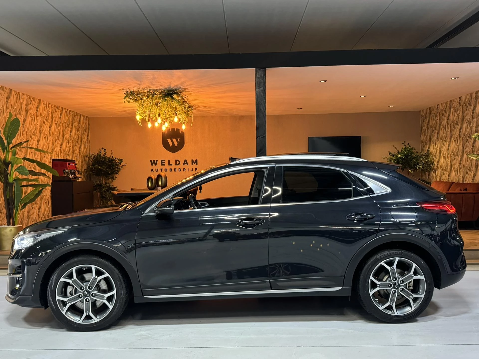 Hoofdafbeelding Kia XCeed