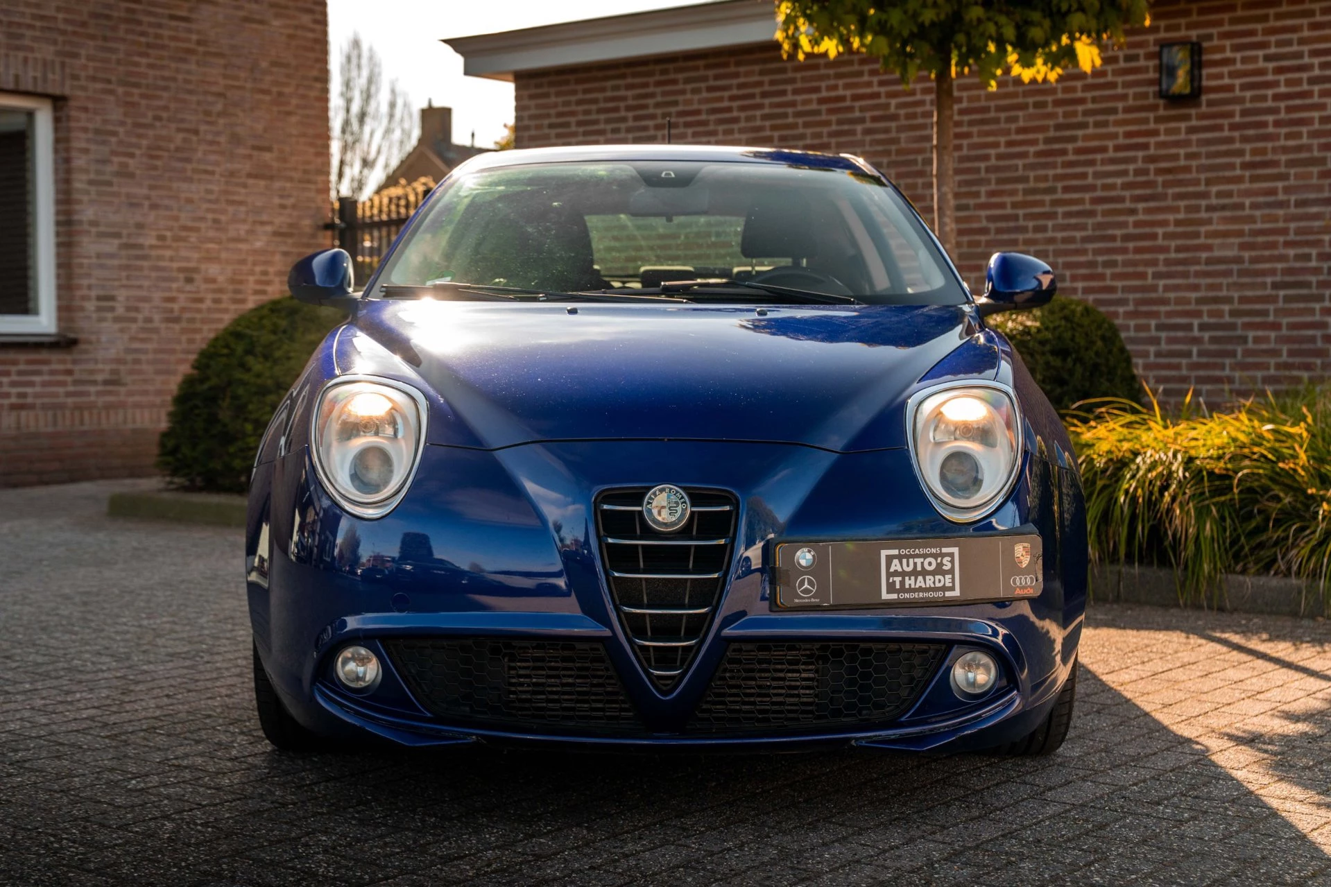 Hoofdafbeelding Alfa Romeo MiTo