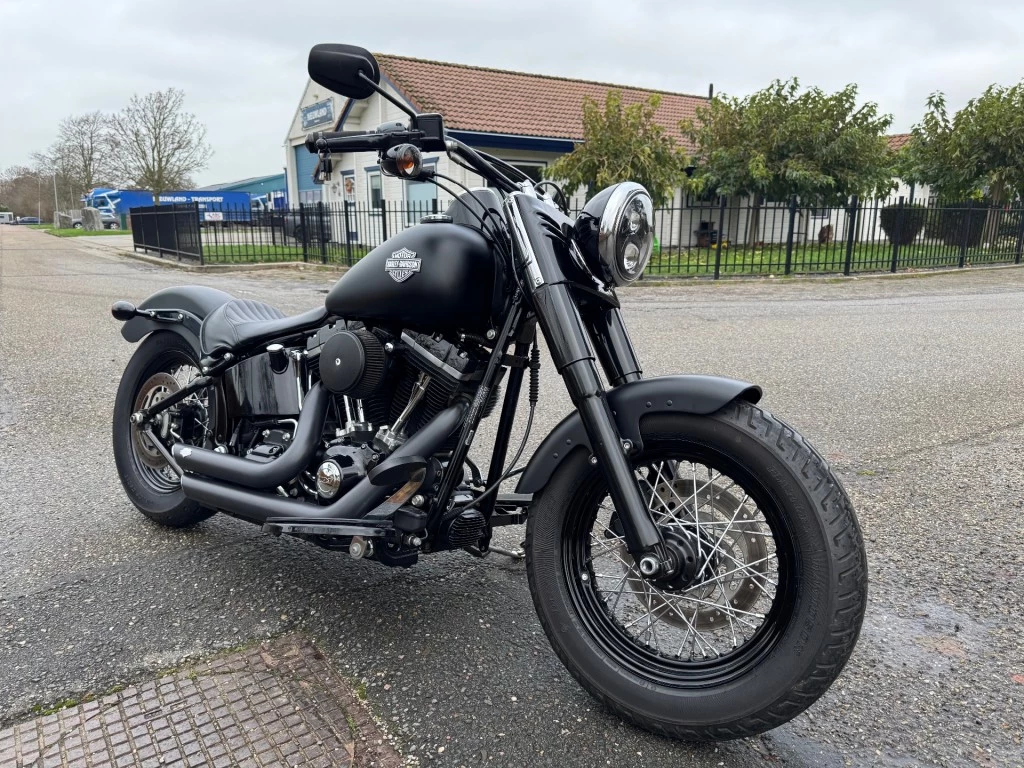 Hoofdafbeelding Harley-Davidson Softail