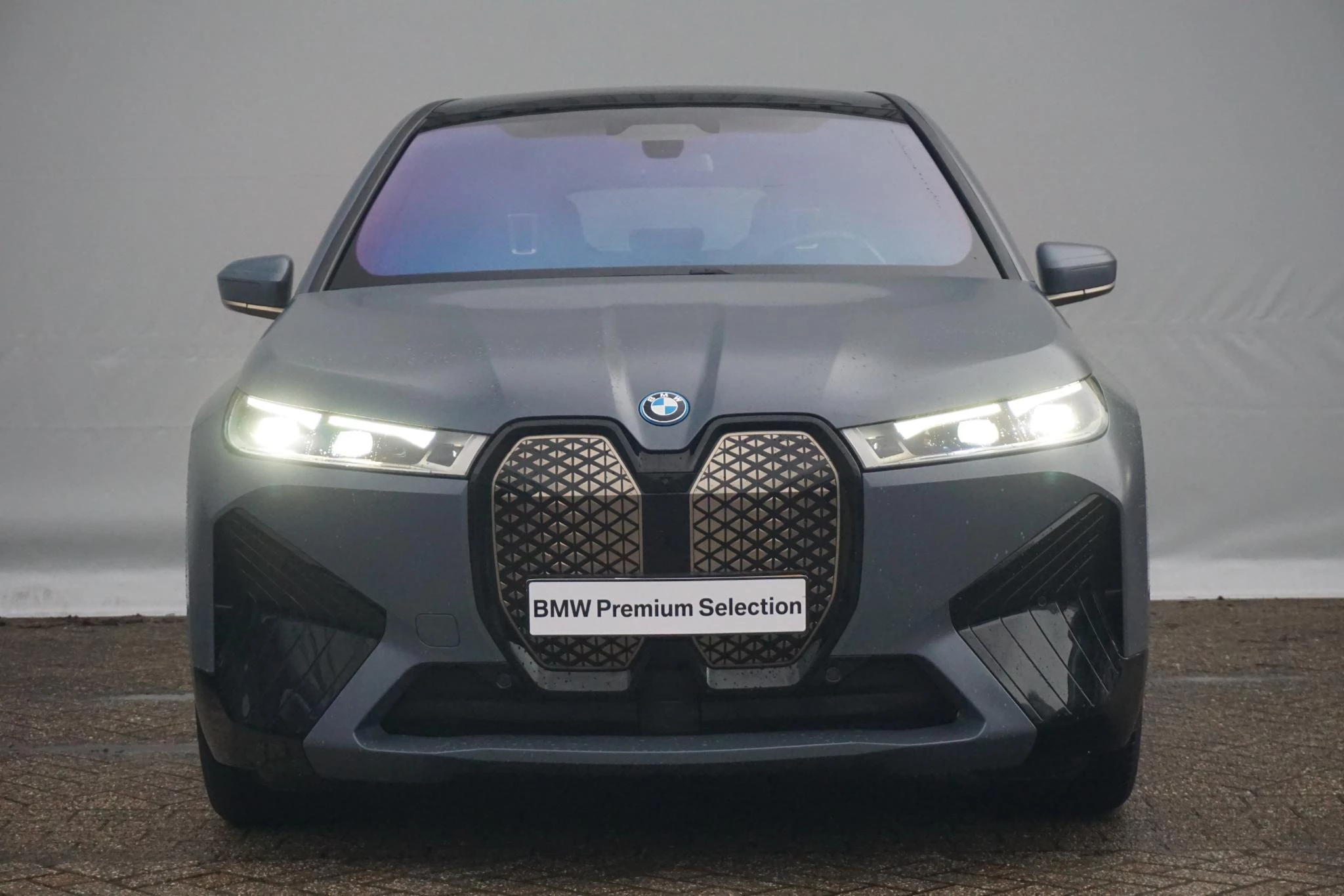 Hoofdafbeelding BMW iX