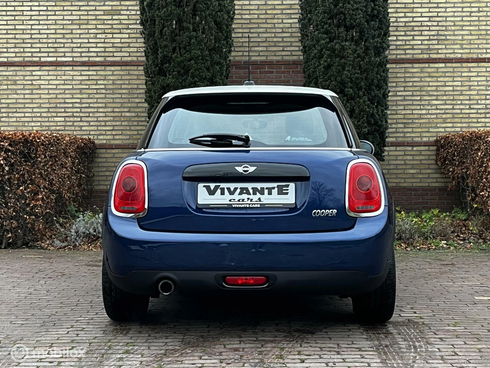 Hoofdafbeelding MINI Cooper