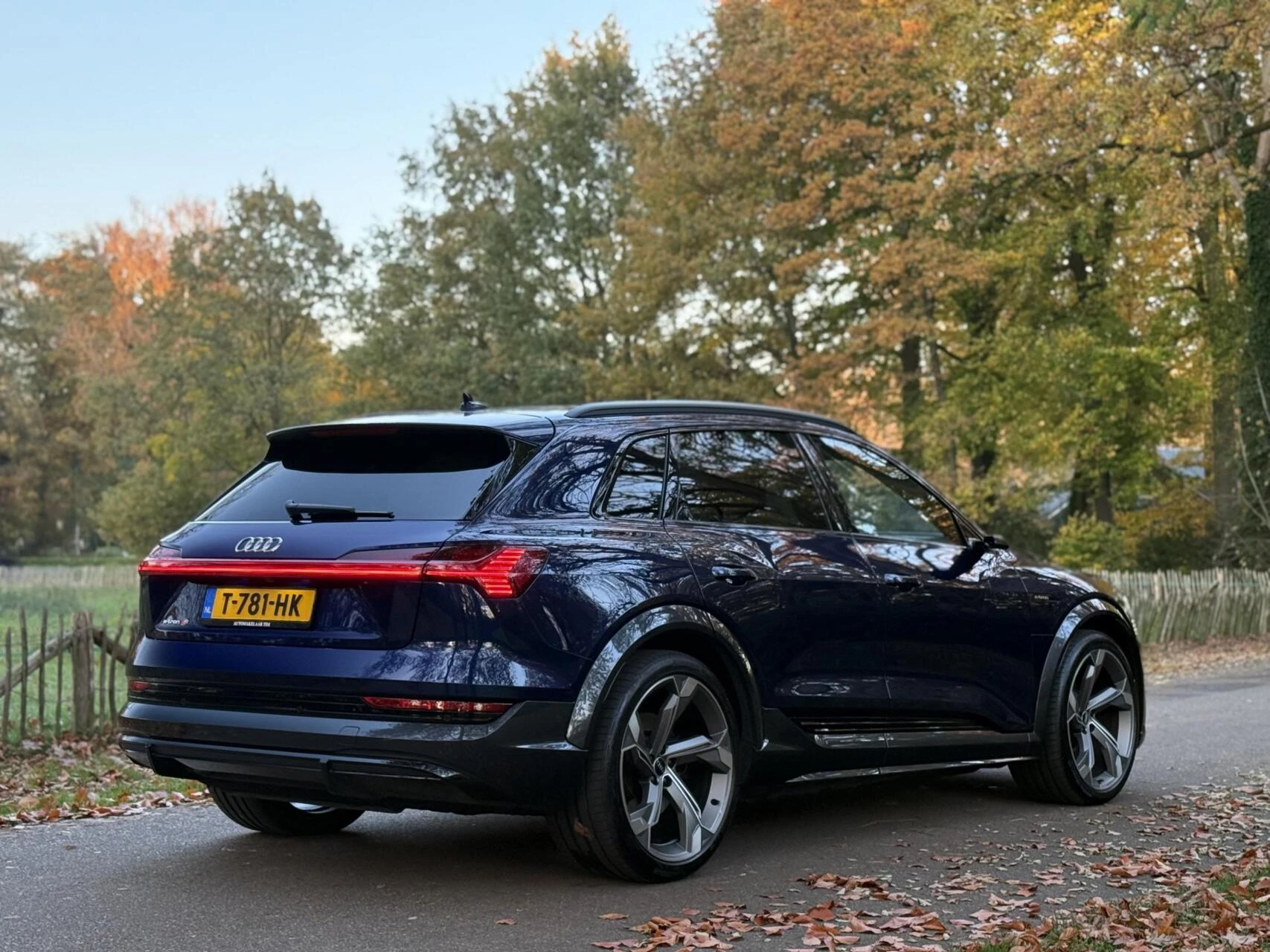 Hoofdafbeelding Audi e-tron