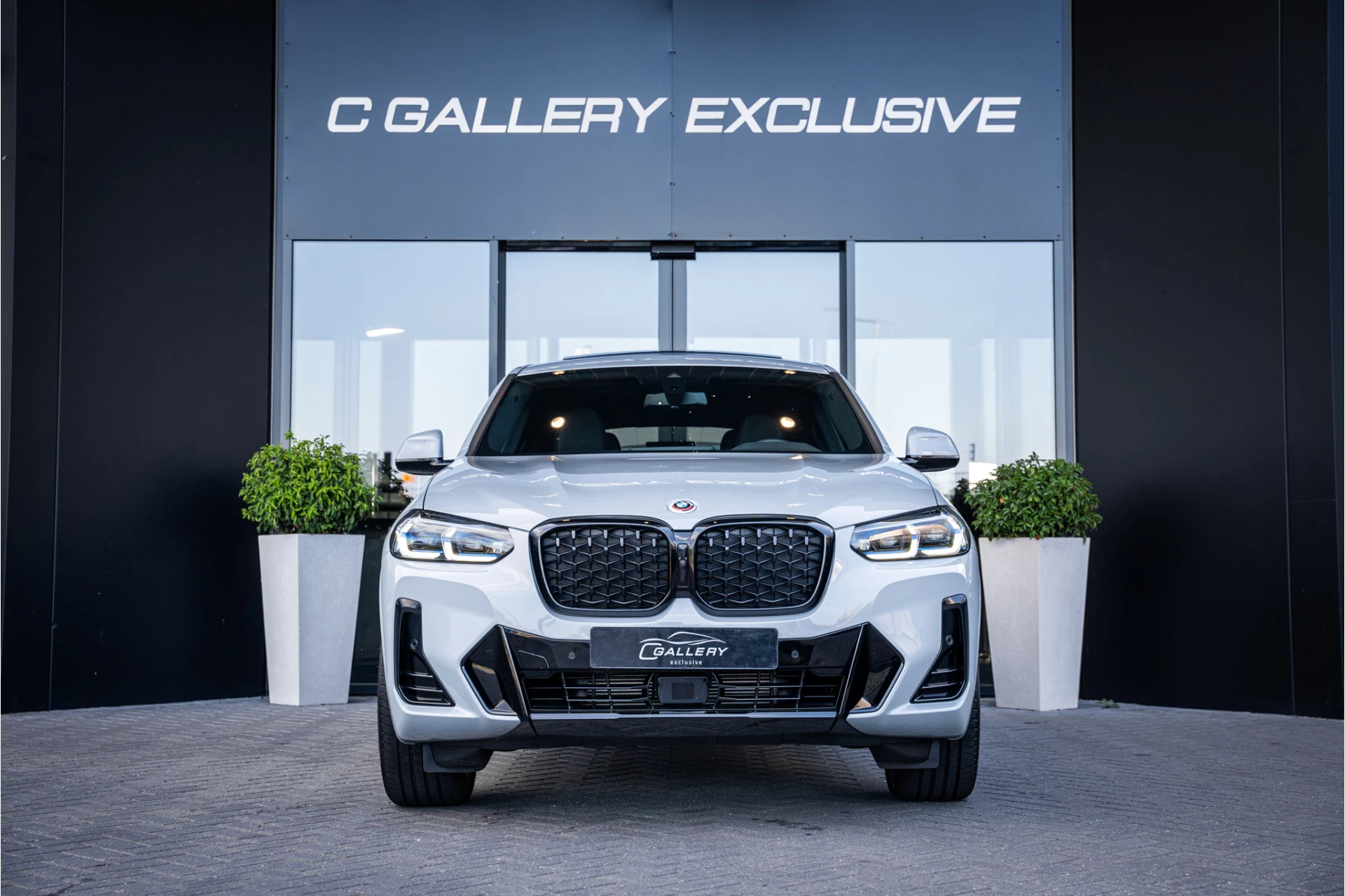 Hoofdafbeelding BMW X4