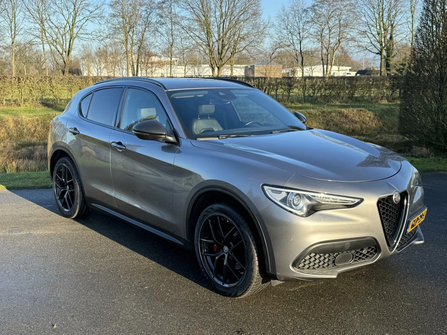 Hoofdafbeelding Alfa Romeo Stelvio