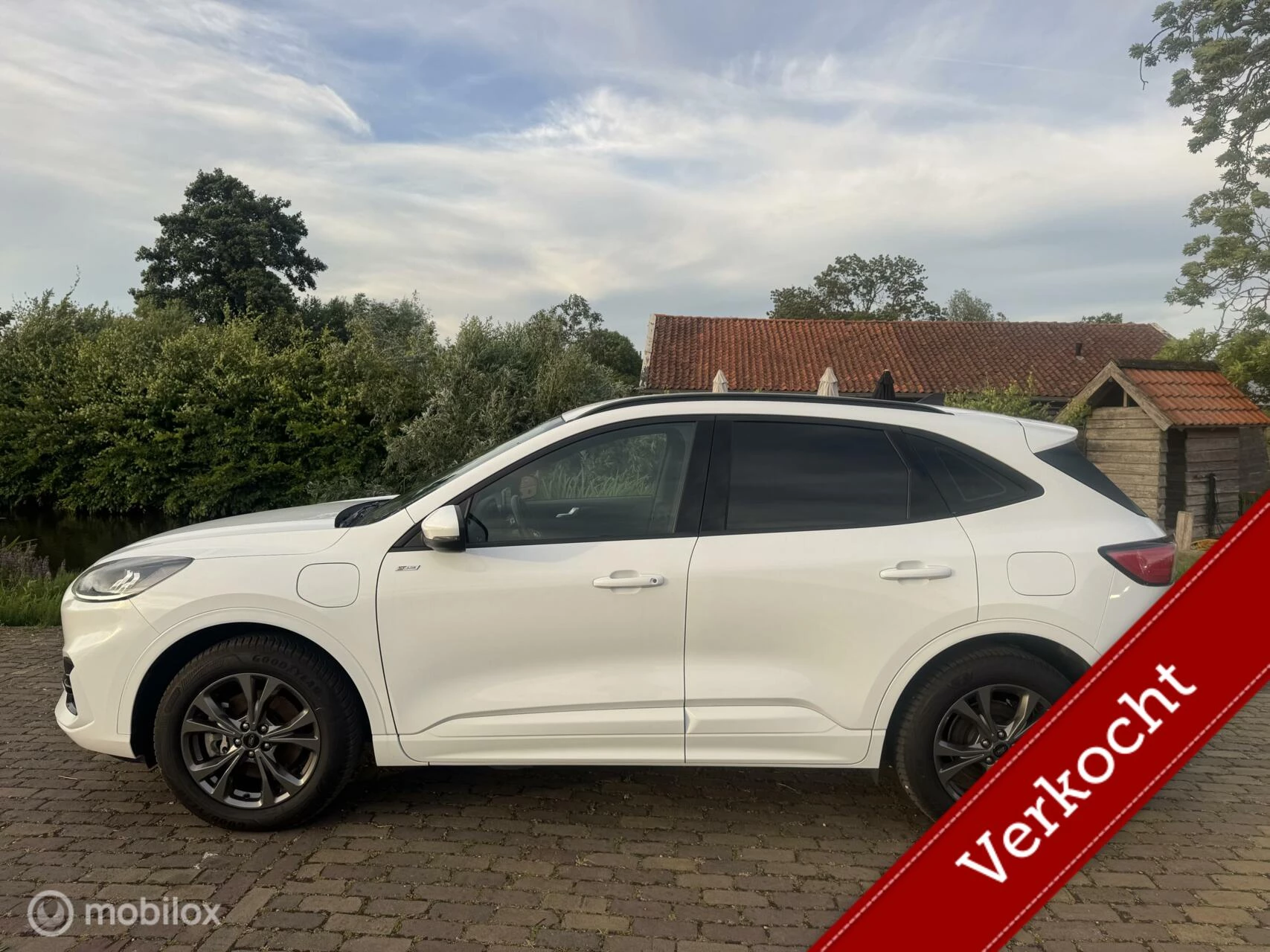 Hoofdafbeelding Ford Kuga