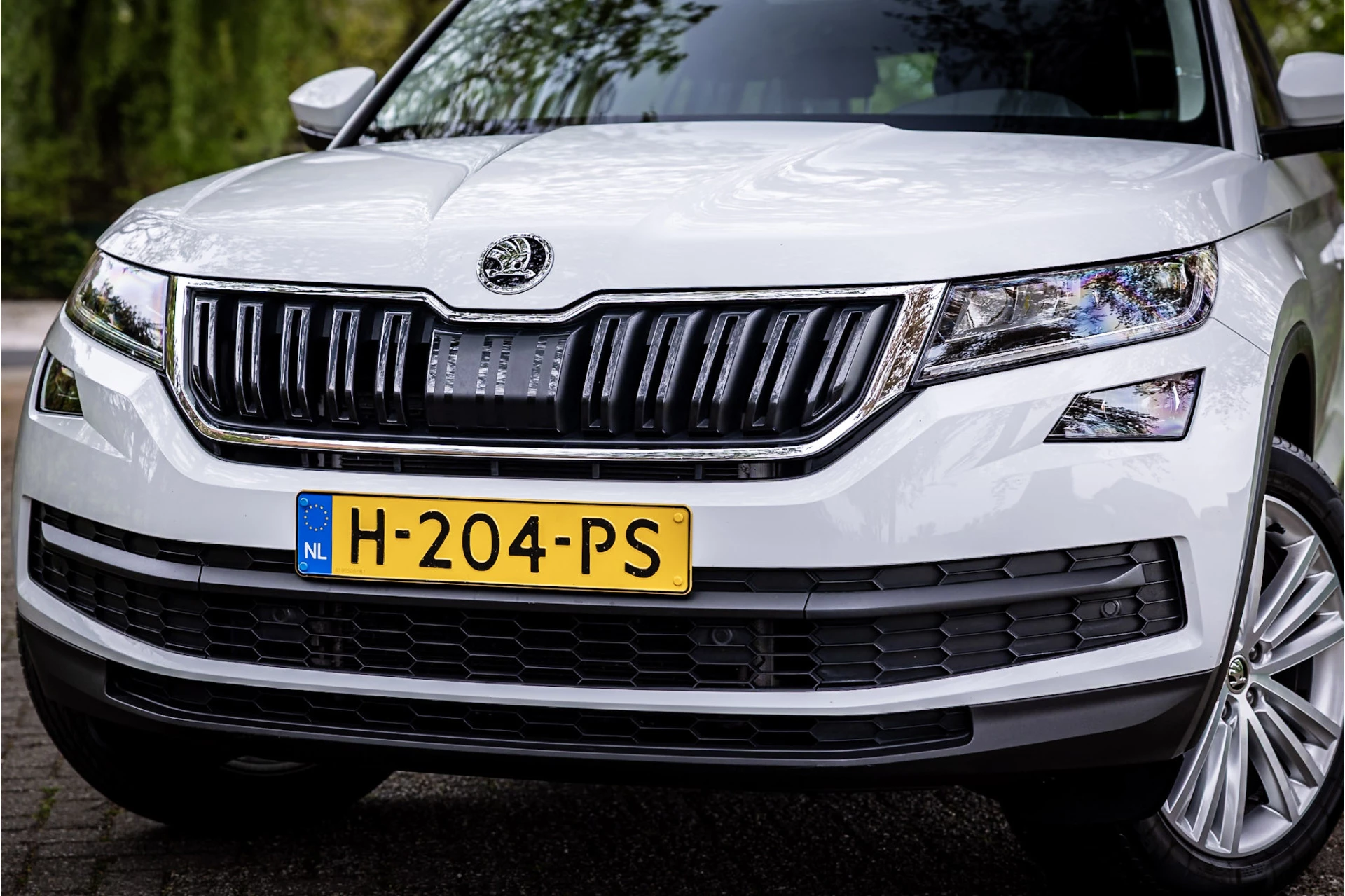 Hoofdafbeelding Škoda Kodiaq