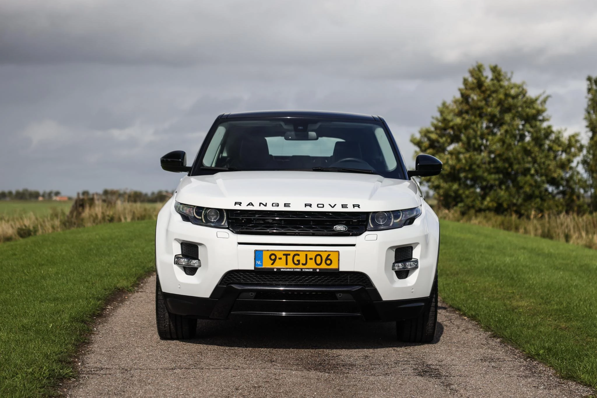 Hoofdafbeelding Land Rover Range Rover Evoque