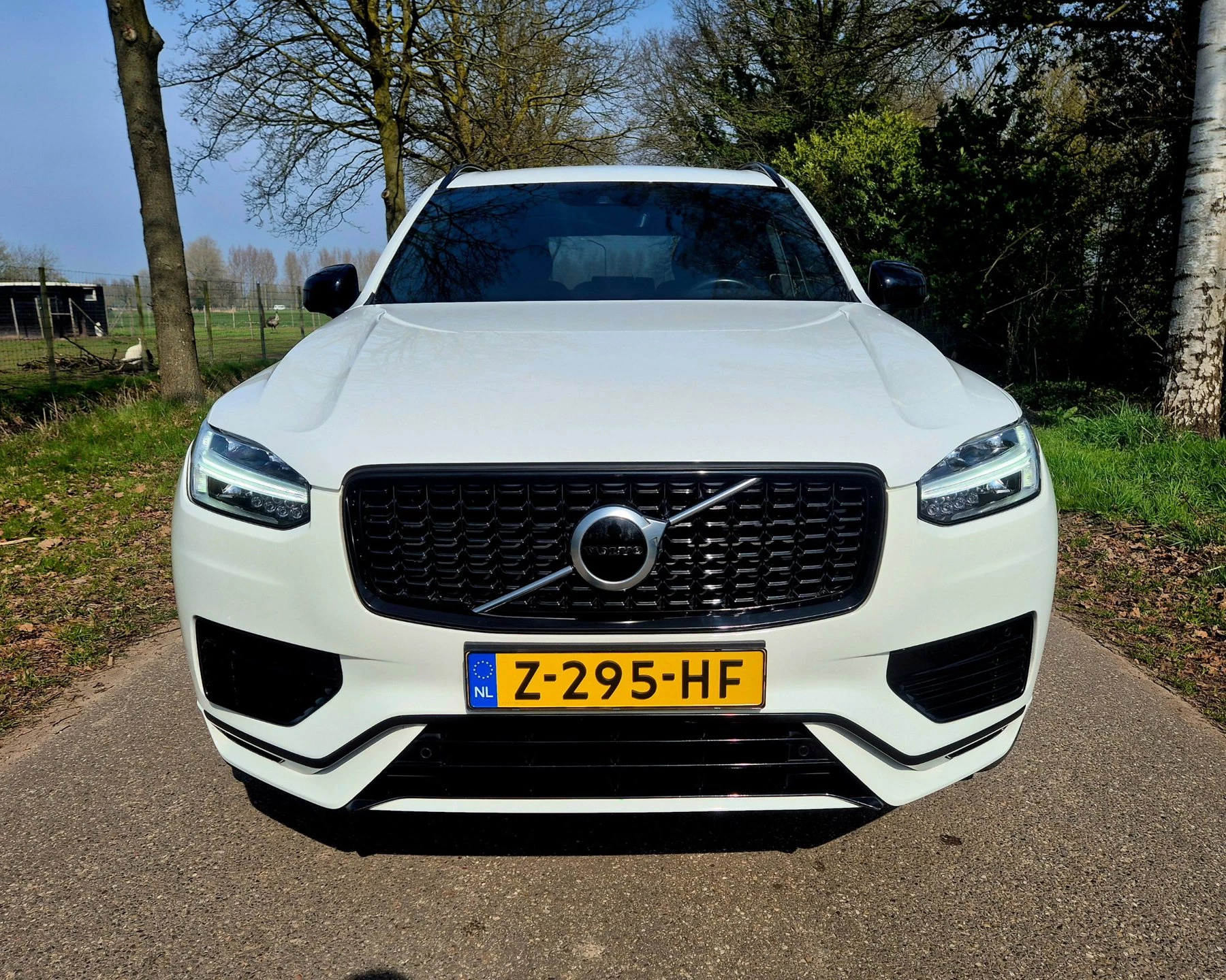 Hoofdafbeelding Volvo XC90