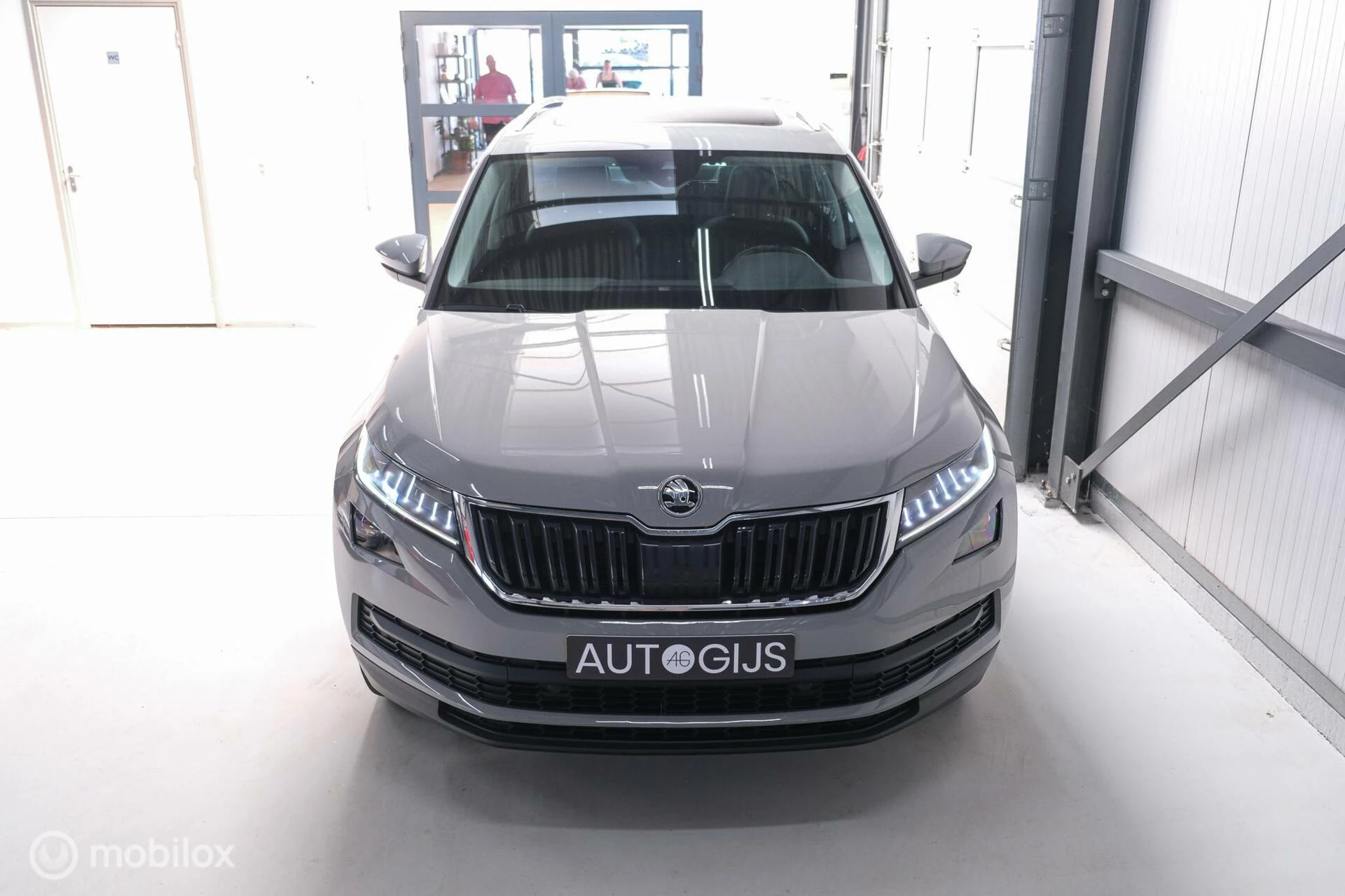 Hoofdafbeelding Škoda Kodiaq