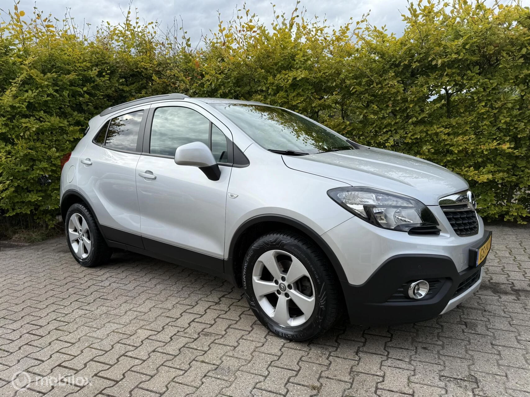 Hoofdafbeelding Opel Mokka