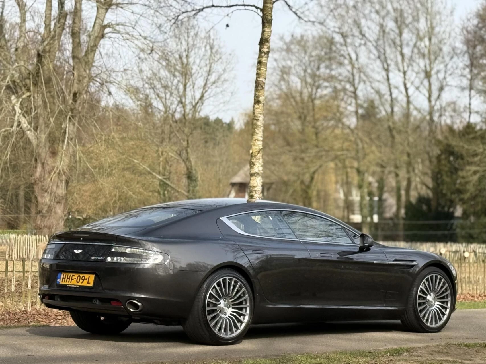 Hoofdafbeelding Aston Martin Rapide