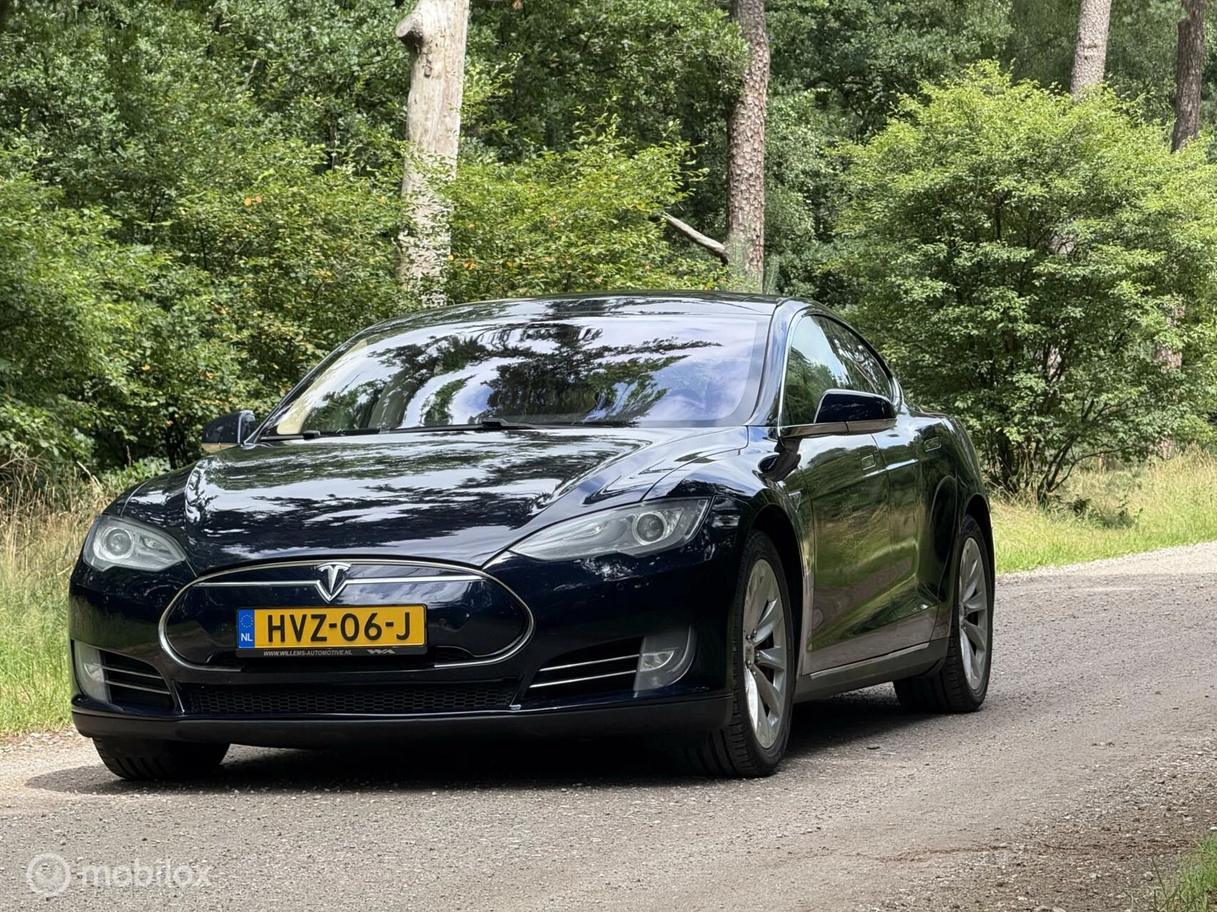 Hoofdafbeelding Tesla Model S