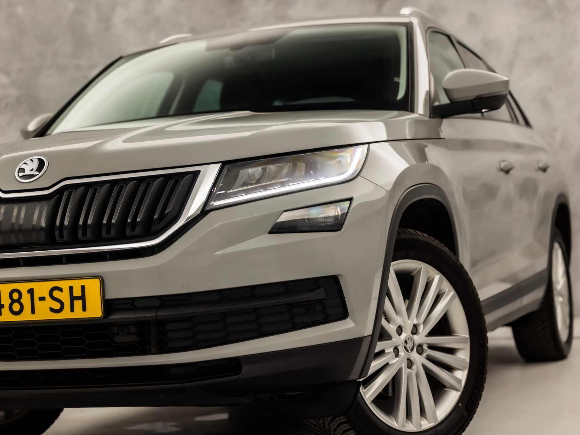 Hoofdafbeelding Škoda Kodiaq