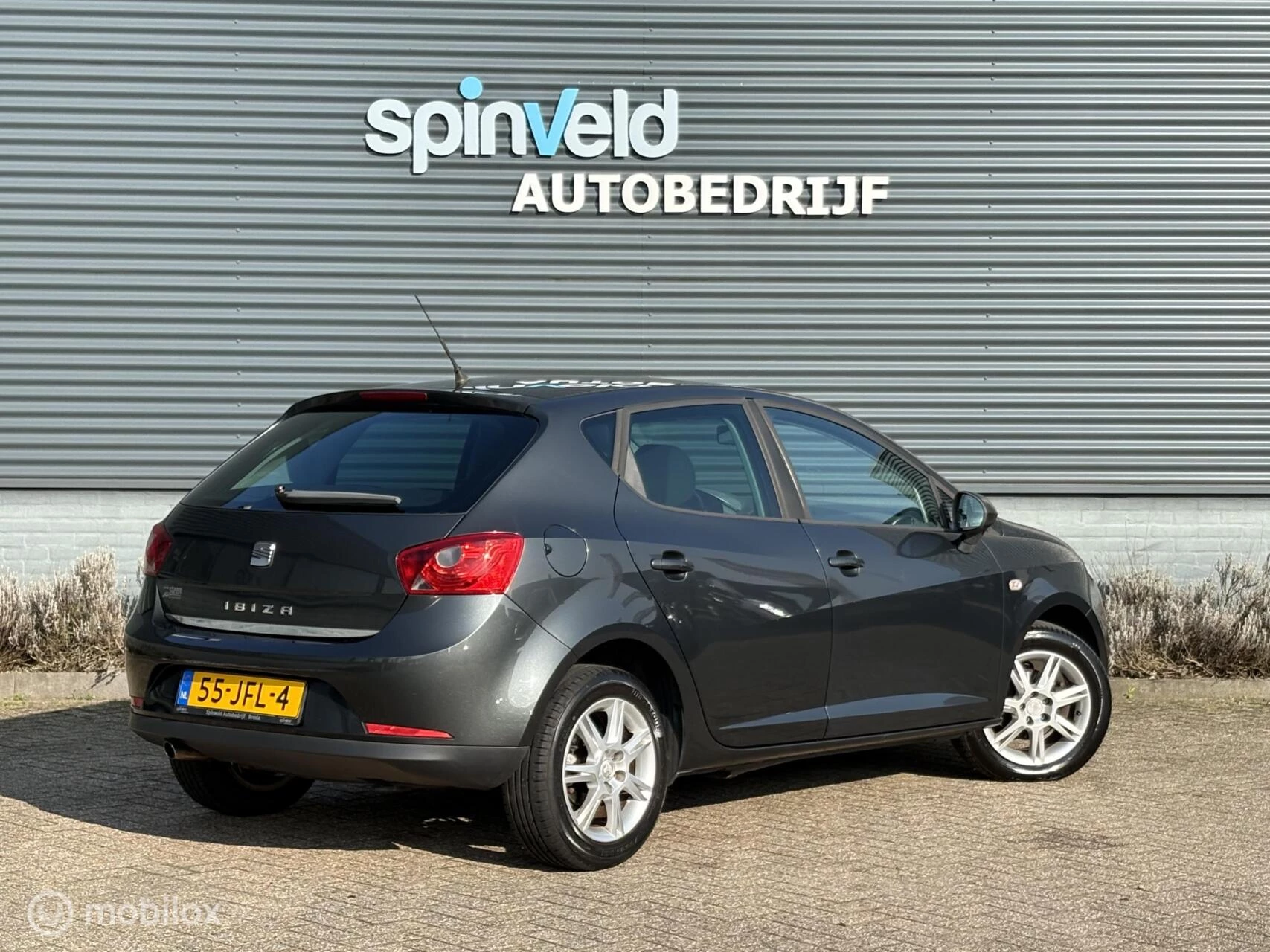 Hoofdafbeelding SEAT Ibiza