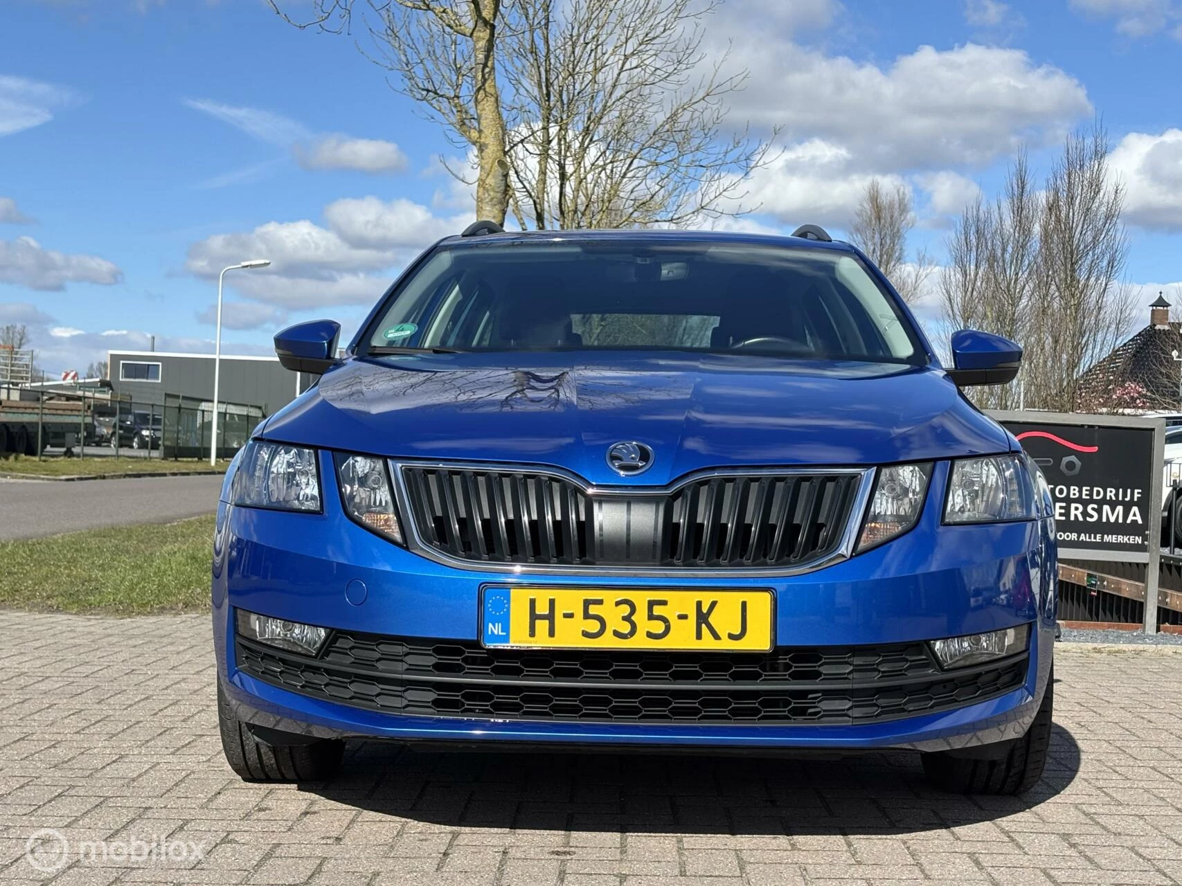 Hoofdafbeelding Škoda Octavia