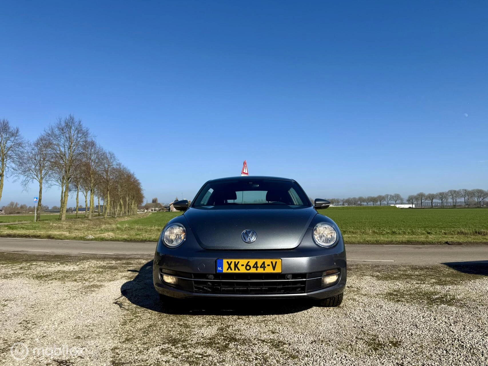 Hoofdafbeelding Volkswagen Beetle