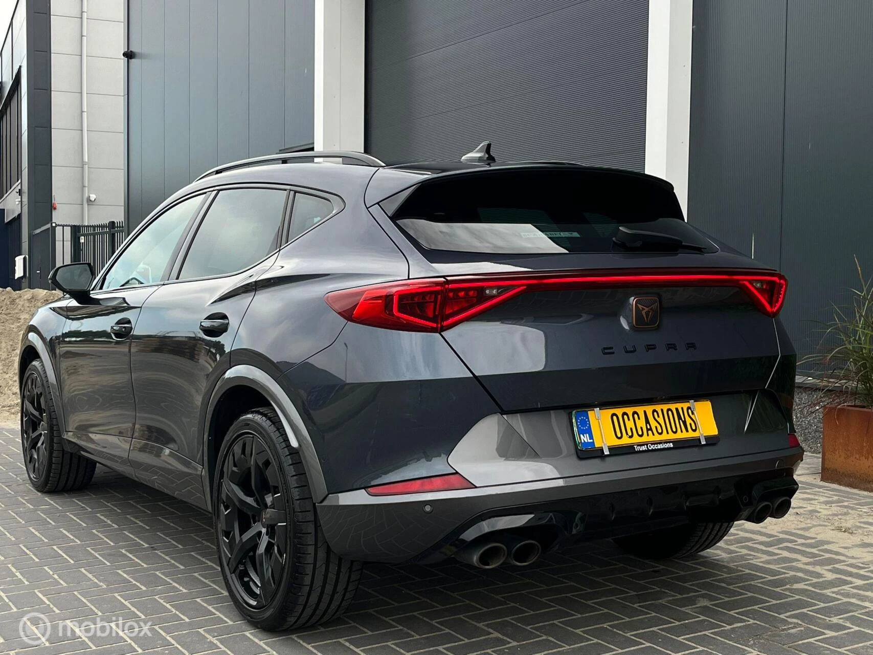 Hoofdafbeelding CUPRA Formentor