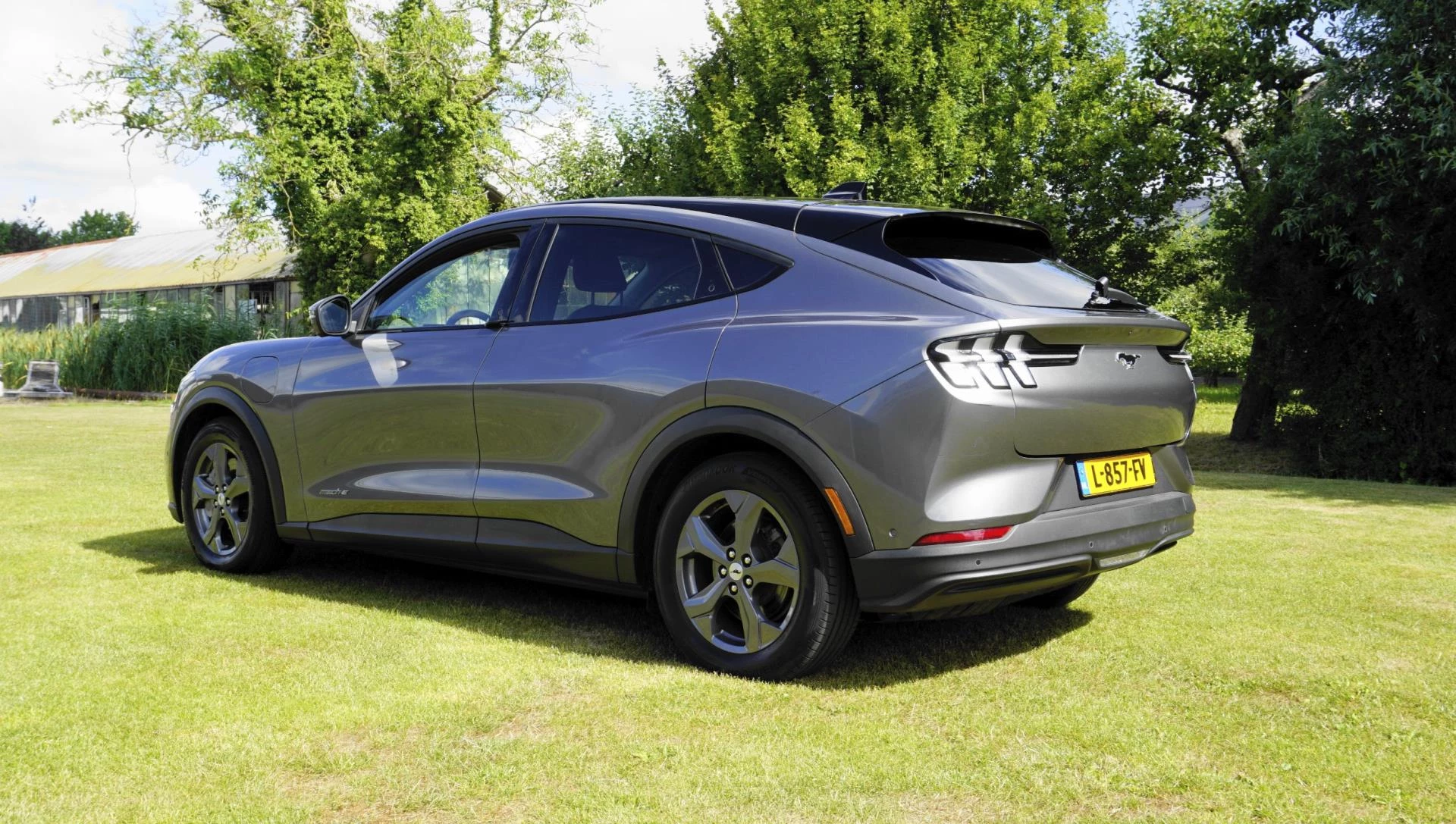 Hoofdafbeelding Ford Mustang Mach-E