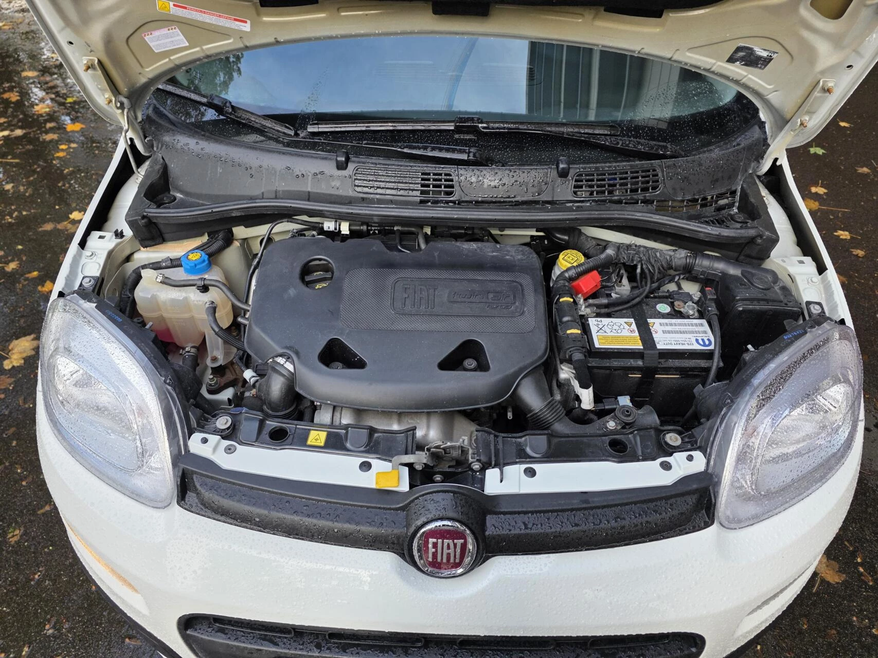 Hoofdafbeelding Fiat Panda