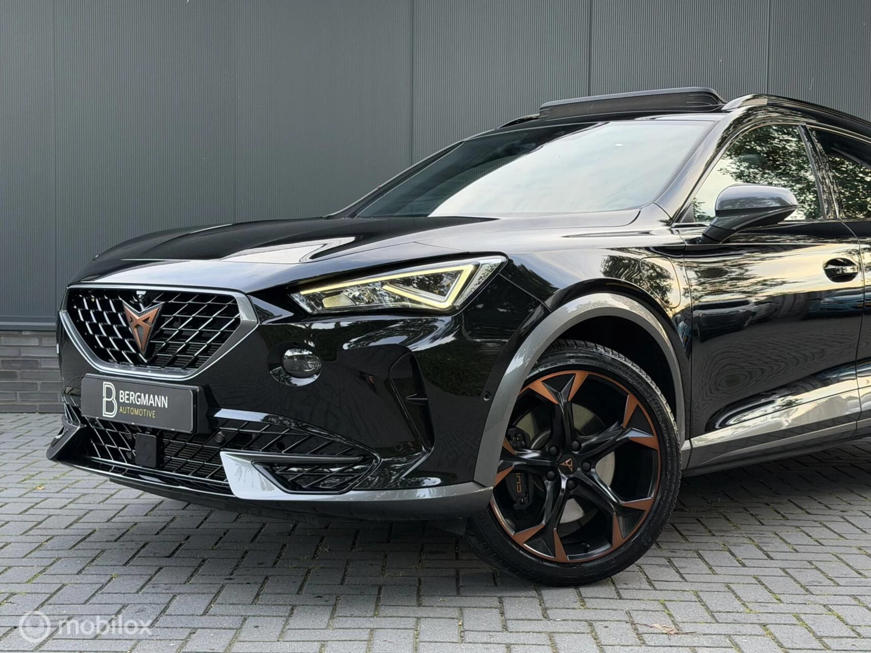 Hoofdafbeelding CUPRA Formentor