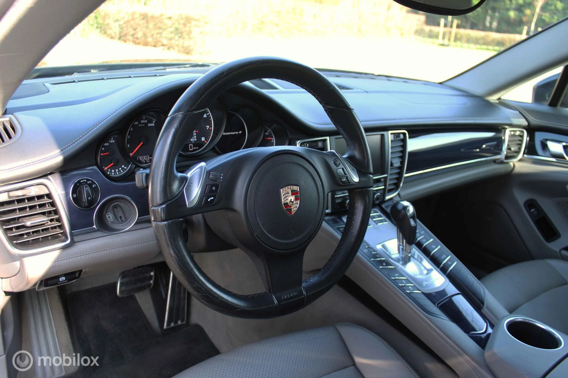 Hoofdafbeelding Porsche Panamera