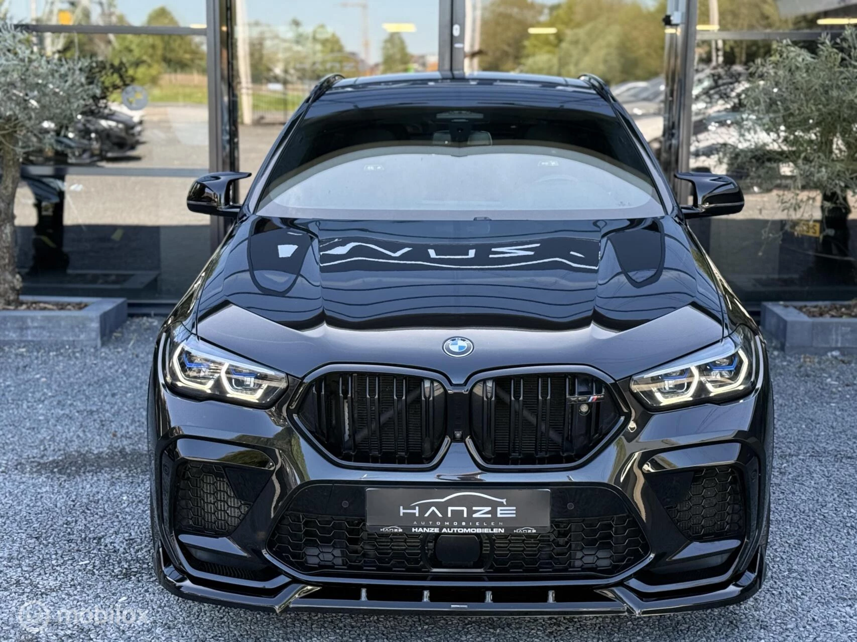 Hoofdafbeelding BMW X6