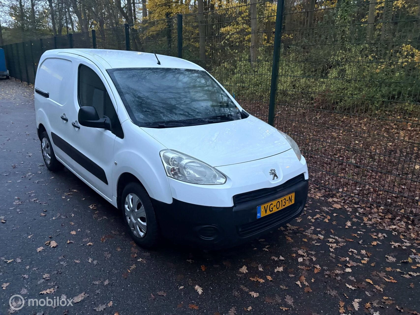 Hoofdafbeelding Peugeot Partner