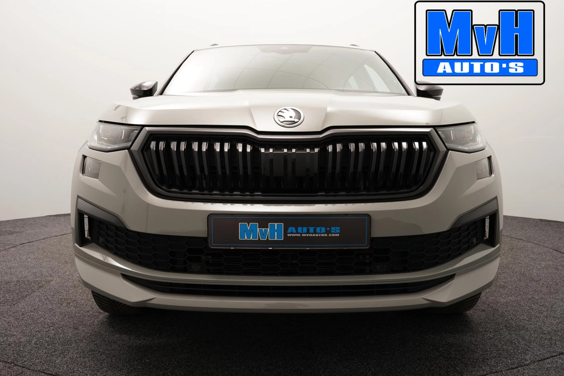 Hoofdafbeelding Škoda Kodiaq