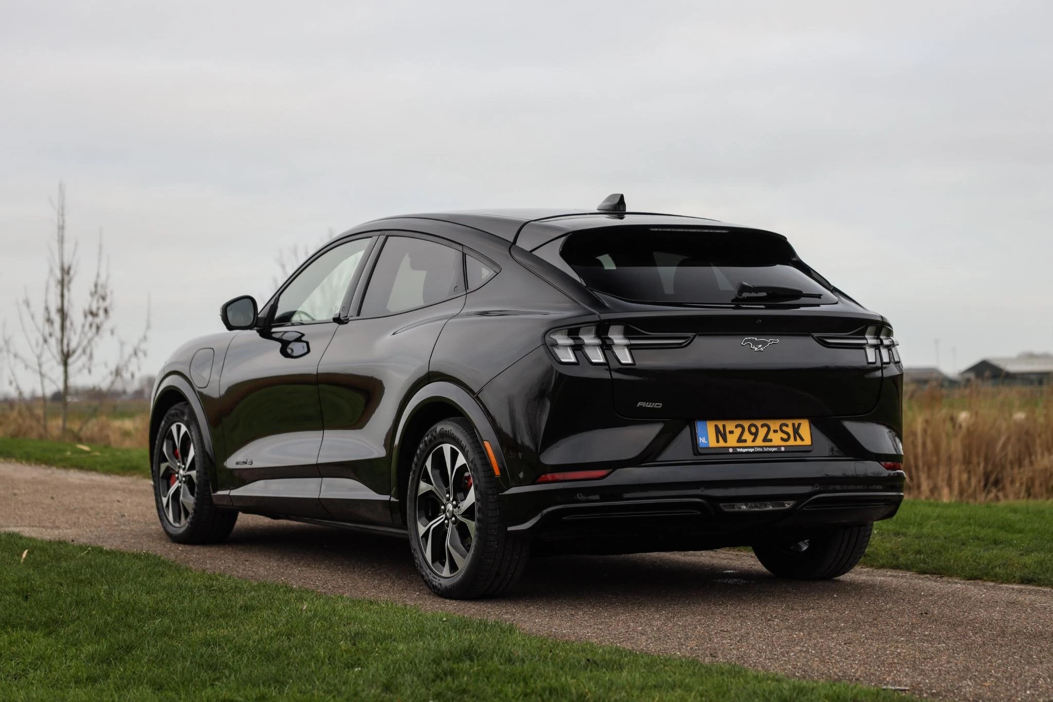 Hoofdafbeelding Ford Mustang Mach-E