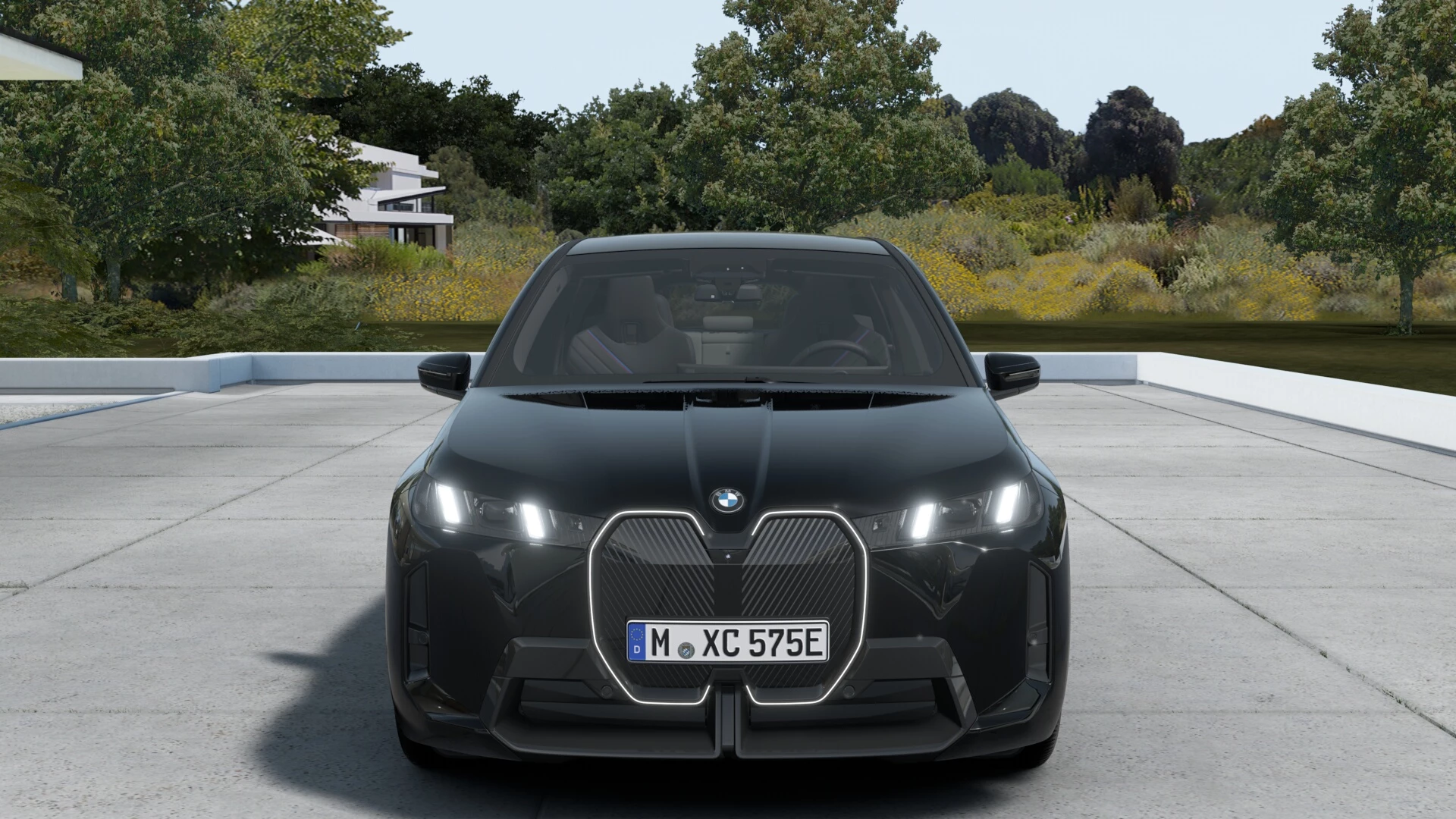 Hoofdafbeelding BMW iX