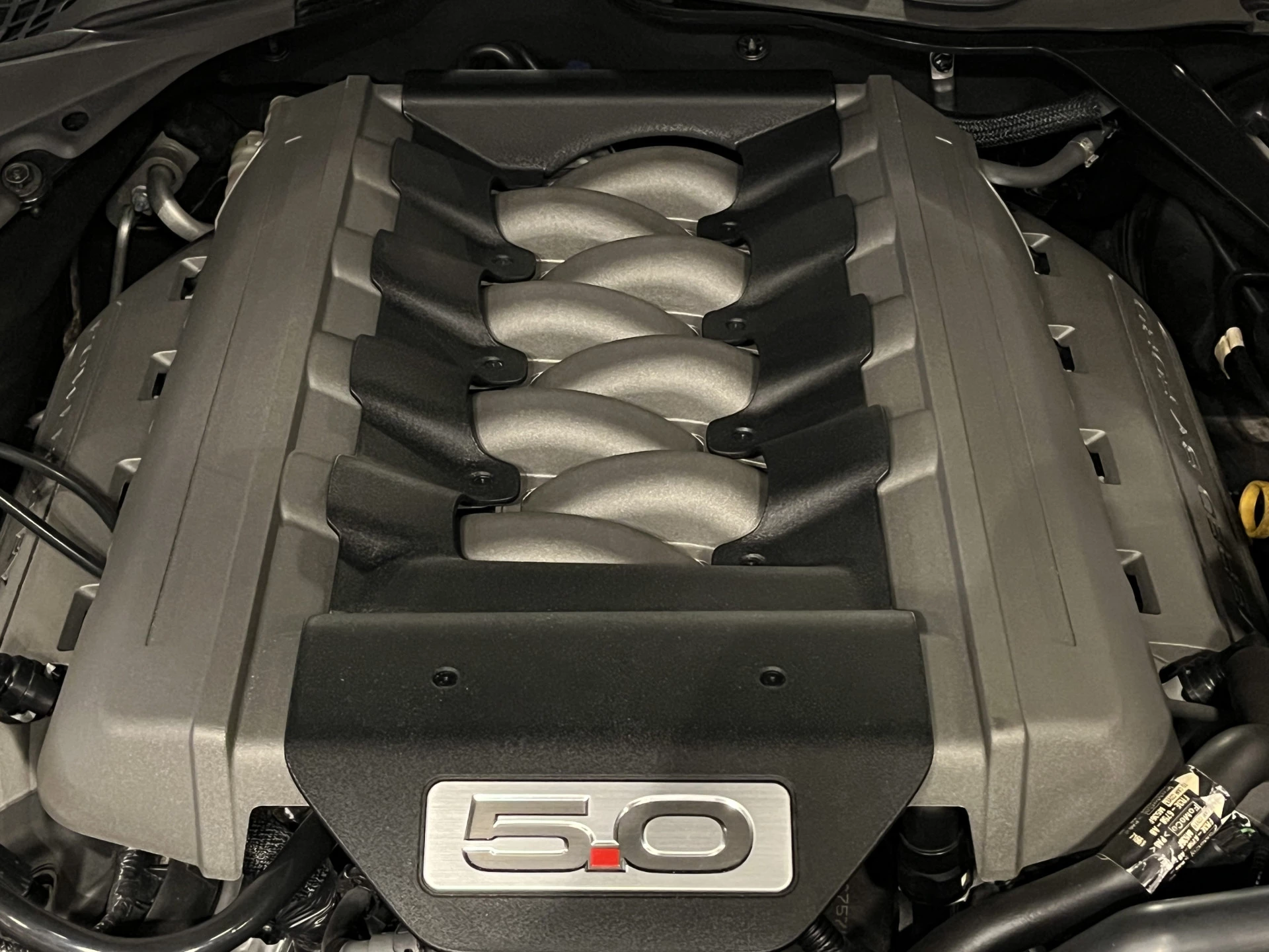 Hoofdafbeelding Ford Mustang