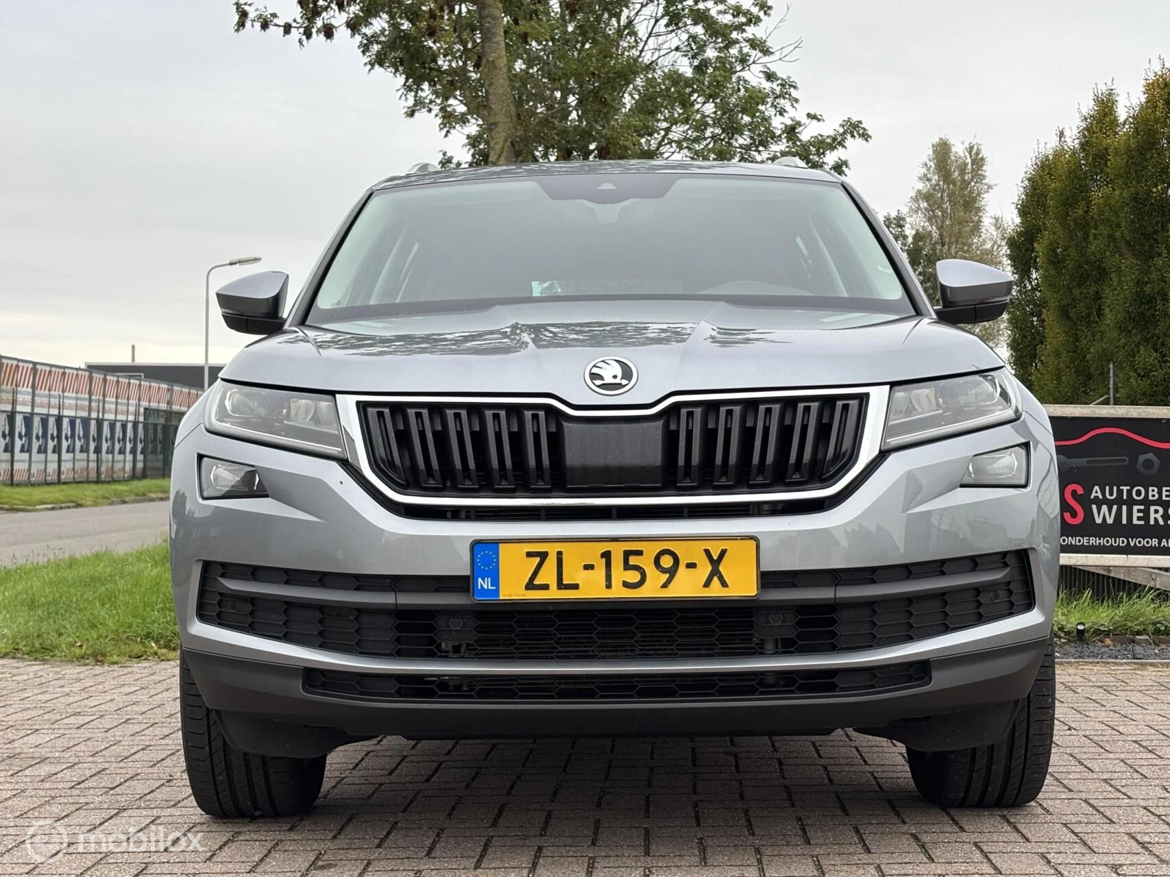 Hoofdafbeelding Škoda Kodiaq