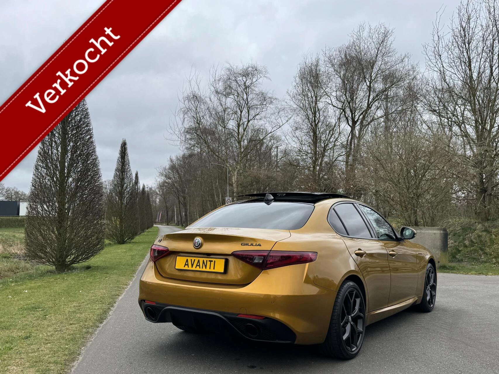 Hoofdafbeelding Alfa Romeo Giulia