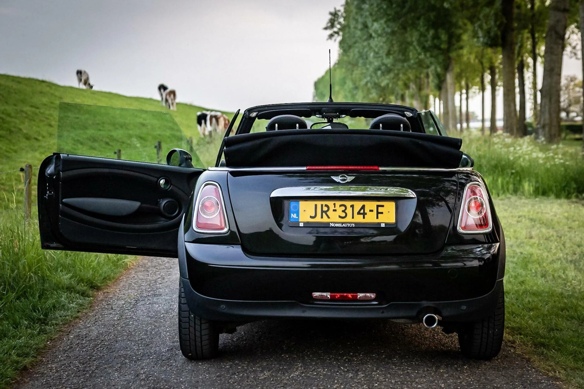 Hoofdafbeelding MINI Cooper Cabrio