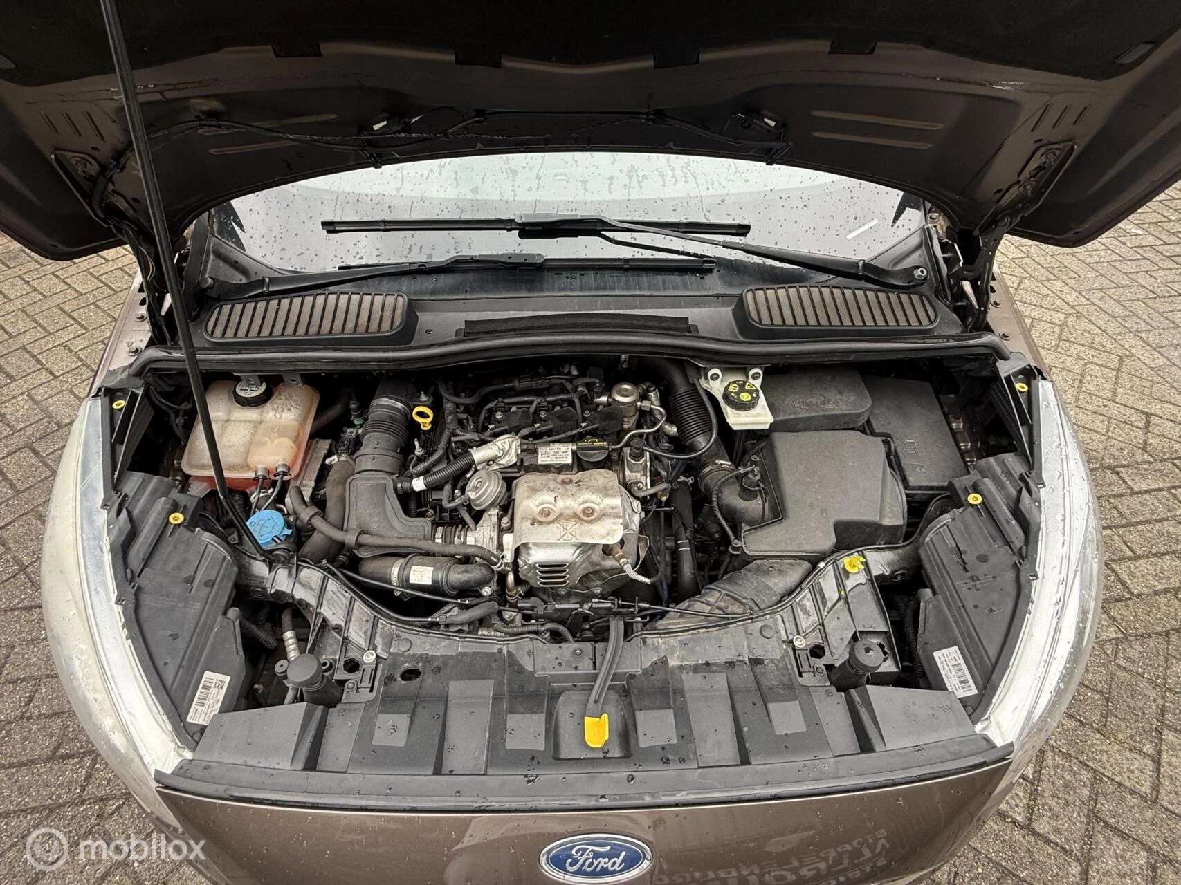 Hoofdafbeelding Ford C-MAX