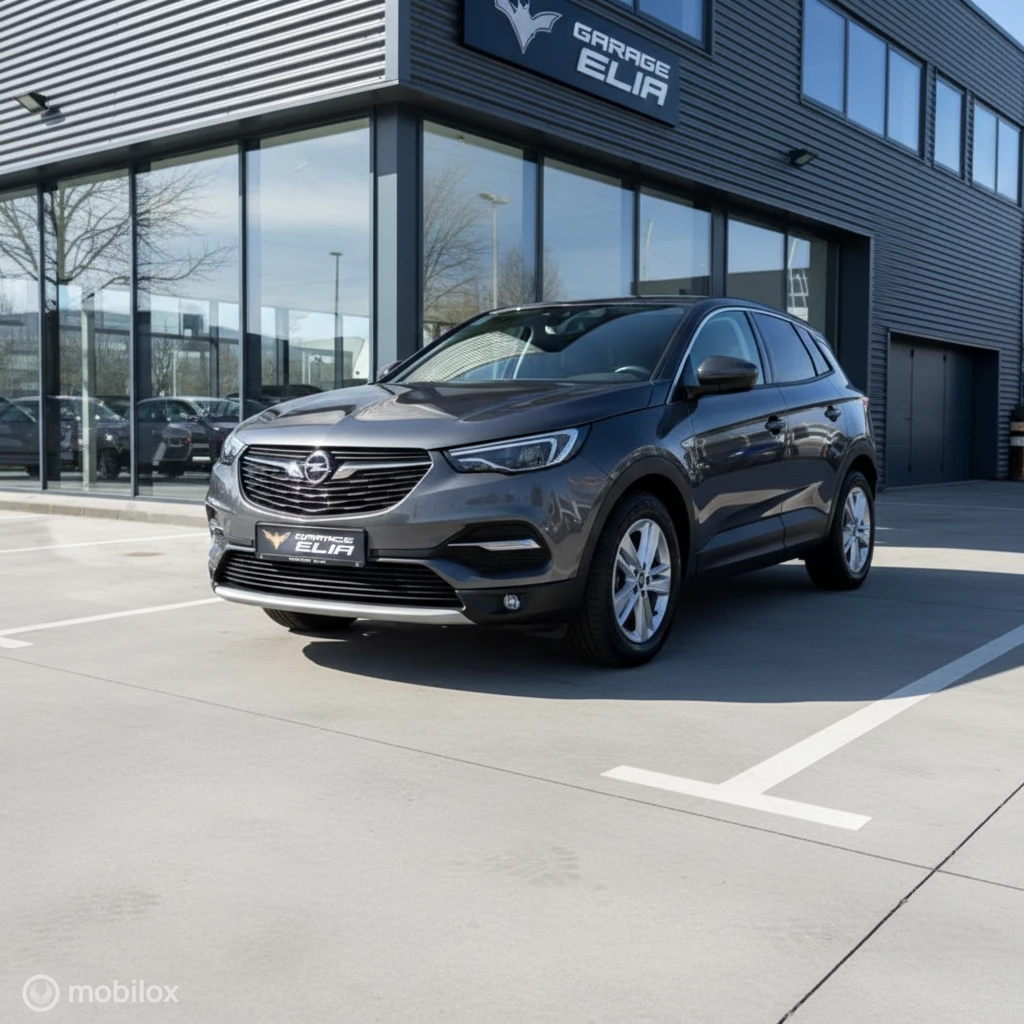 Hoofdafbeelding Opel Grandland X