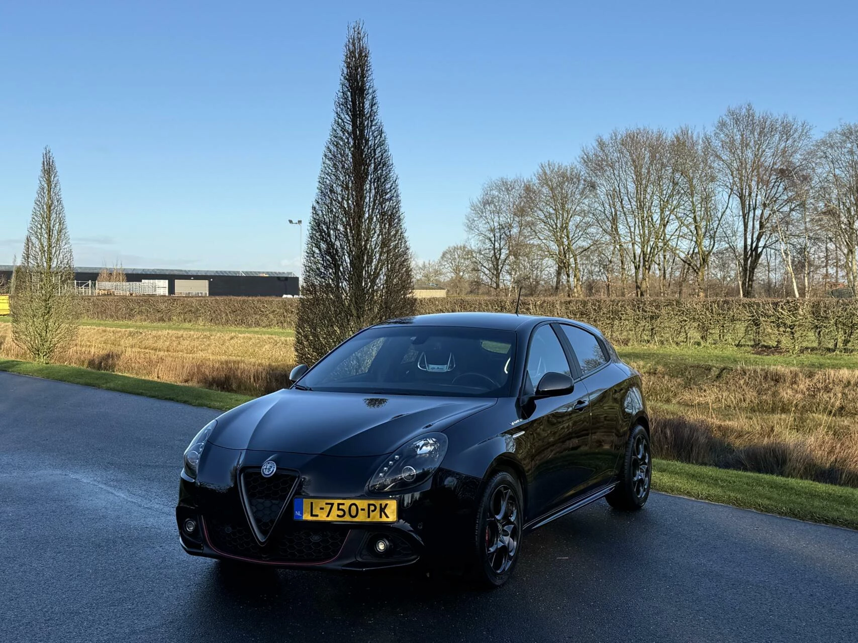 Hoofdafbeelding Alfa Romeo Giulietta