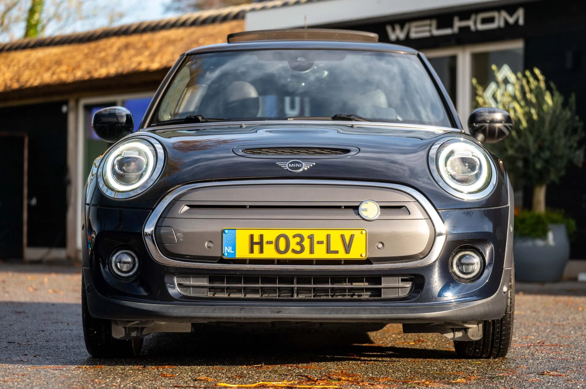 Hoofdafbeelding MINI Electric