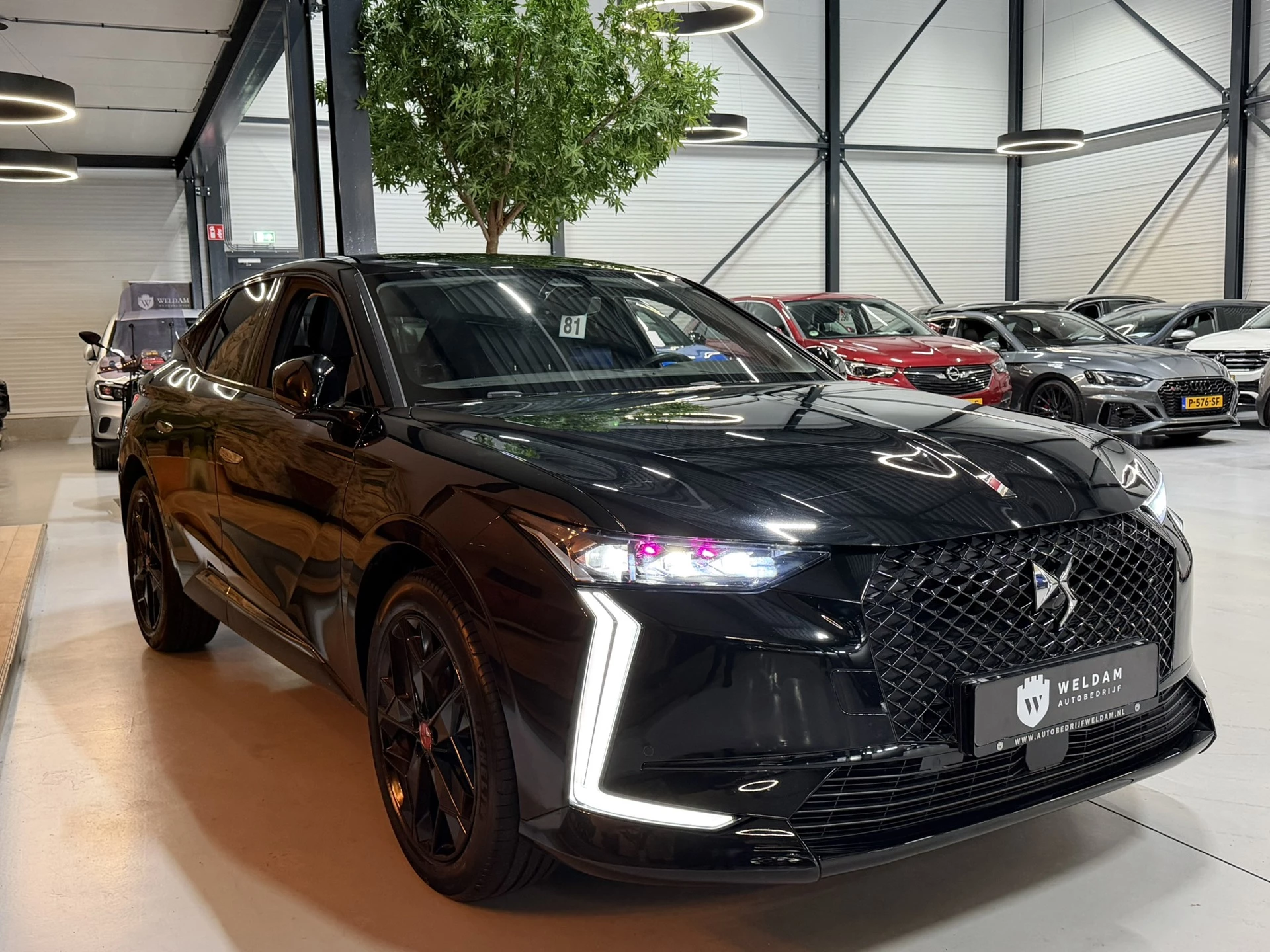 Hoofdafbeelding DS DS 4