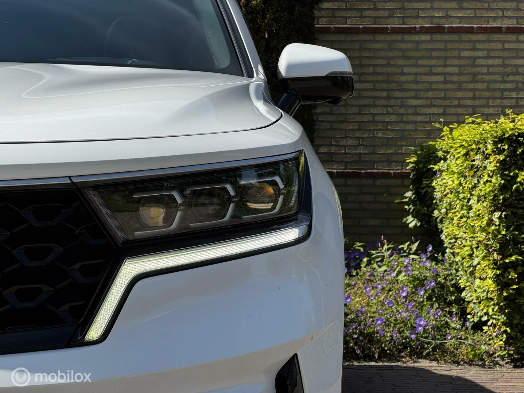 Hoofdafbeelding Kia Sorento