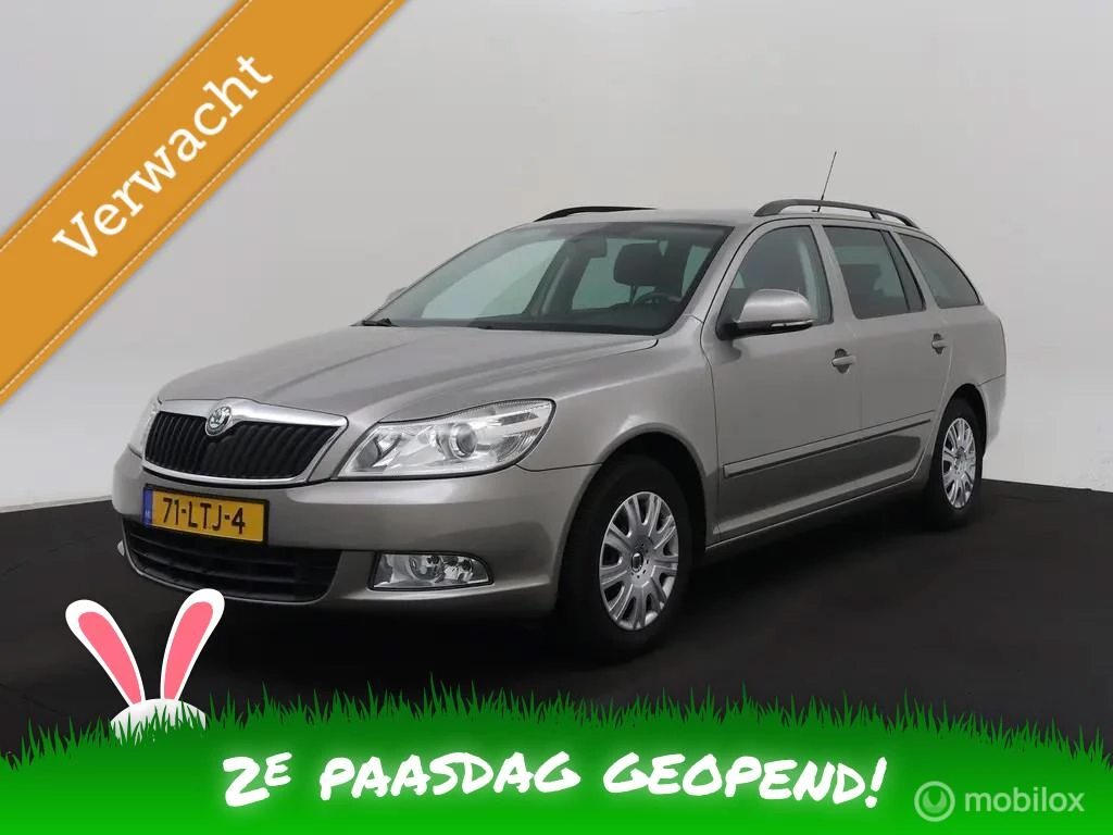 Hoofdafbeelding Škoda Octavia