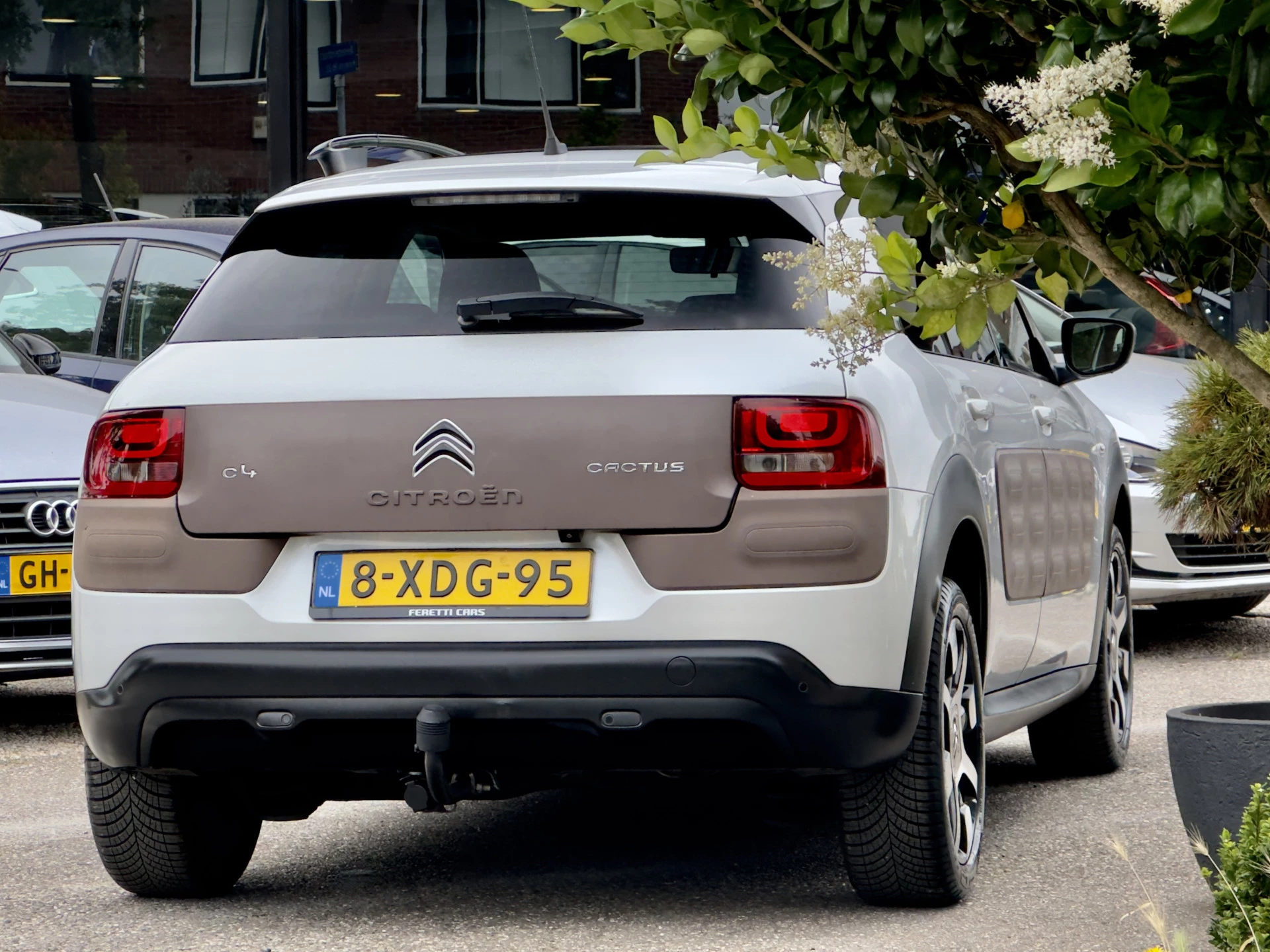 Hoofdafbeelding Citroën C4 Cactus